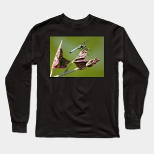 Dragonfly Long Sleeve T-Shirt